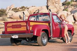 Dodge Pickup 1978 #12