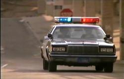 Dodge St Regis 1979 #7