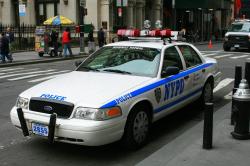 Ford Crown Victoria 2008 #6