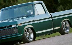 Ford F100 1976 #8
