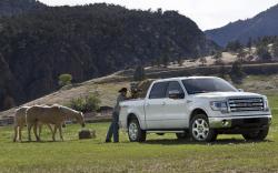 Ford F-150 2013 #8