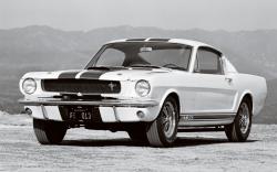 Ford Mustang 1965 #8