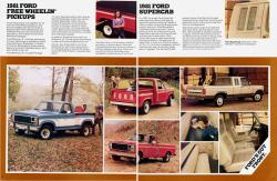 Ford Pickup 1981 #10