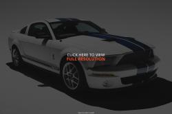 Ford Shelby GT500 2008 #10