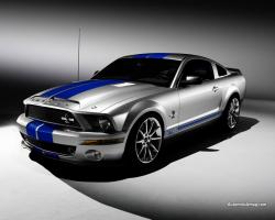 Ford Shelby GT500 #8