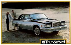 Ford Thunderbird 1981 #8