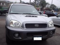 Hyundai Santa Fe 2003 #12
