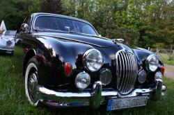 Jaguar 2.4 1956 #9