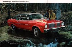 Oldsmobile Omega 1973 #10