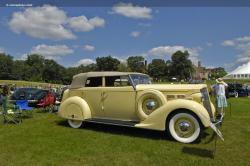 Packard 120C 1937 #7