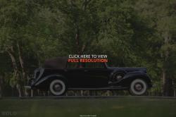 Packard 1600 1938 #6