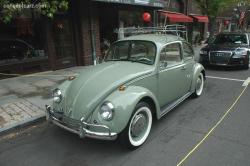 Volkswagen Beetle (Pre-1980) 1952 #11