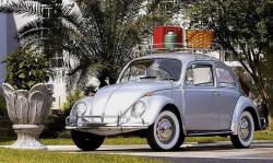 Volkswagen Beetle (Pre-1980) 1960 #15
