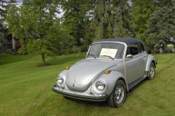 Volkswagen Beetle (Pre-1980) 1979 #8