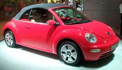 Volkswagen New Beetle #45