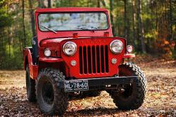 Willys Delivery 1955 #14