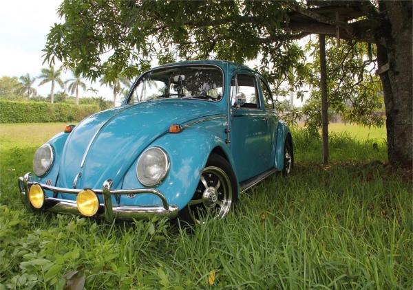 1965 Volkswagen Beetle (Pre-1980)