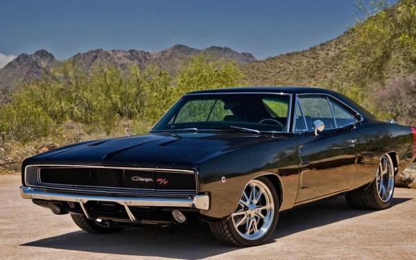 1969 Charger #2