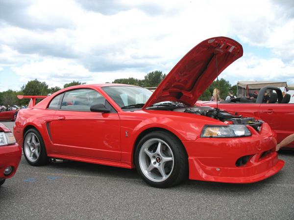 1999 Mustang SVT Cobra #1