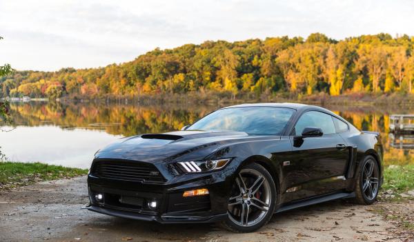 2015 Mustang #1