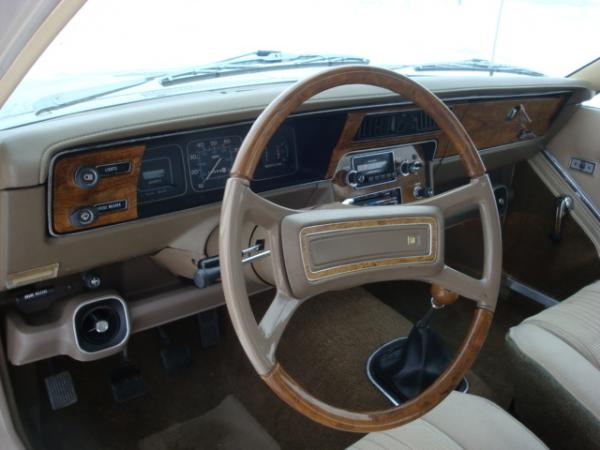 American Motors Spirit 1979 #2
