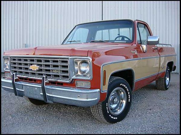 Chevrolet Pickup 1976 #3