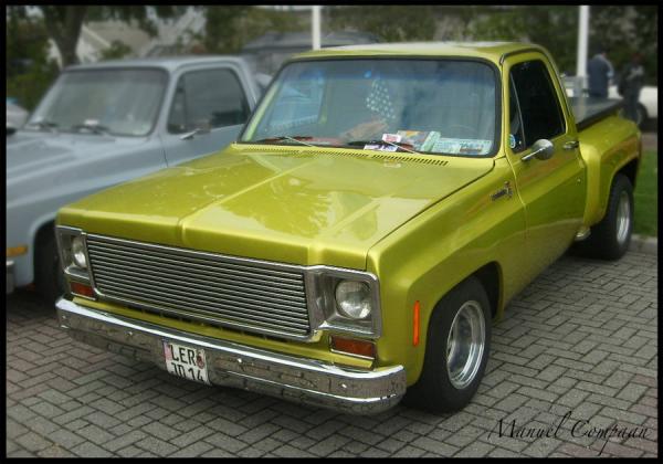 Chevrolet Stepside Pickup 1975 #5