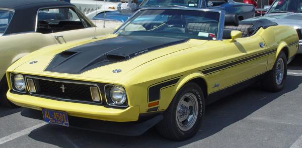 Ford Mustang 1973 #1