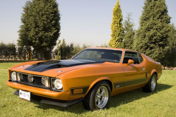 Ford Mustang 1973 #2