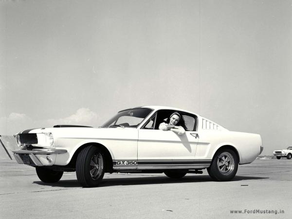 Ford Mustang Shelby GT 1965 #4