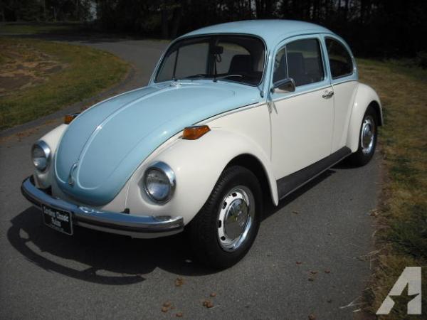 Volkswagen Beetle (Pre-1980) #3