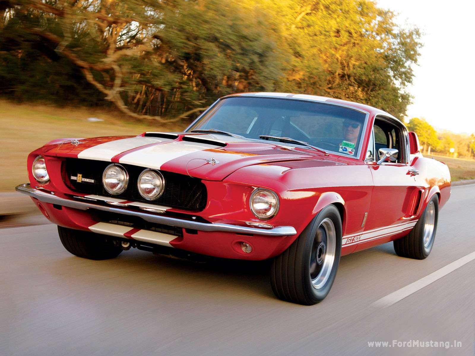 1967 Mustang Shelby GT #2