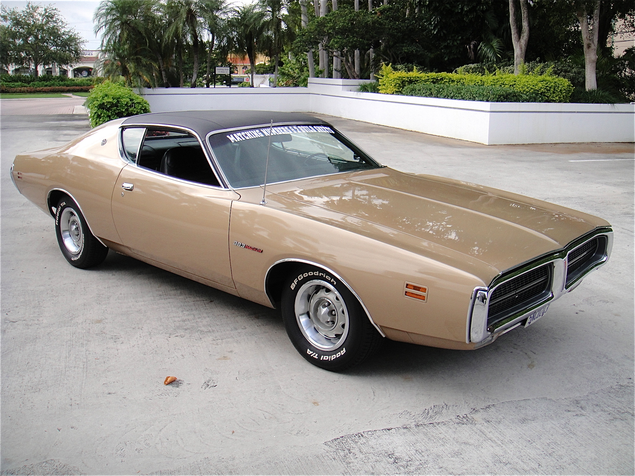 1971 Charger #2