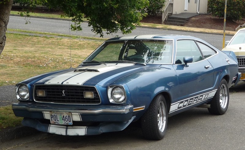 1975 Mustang #1