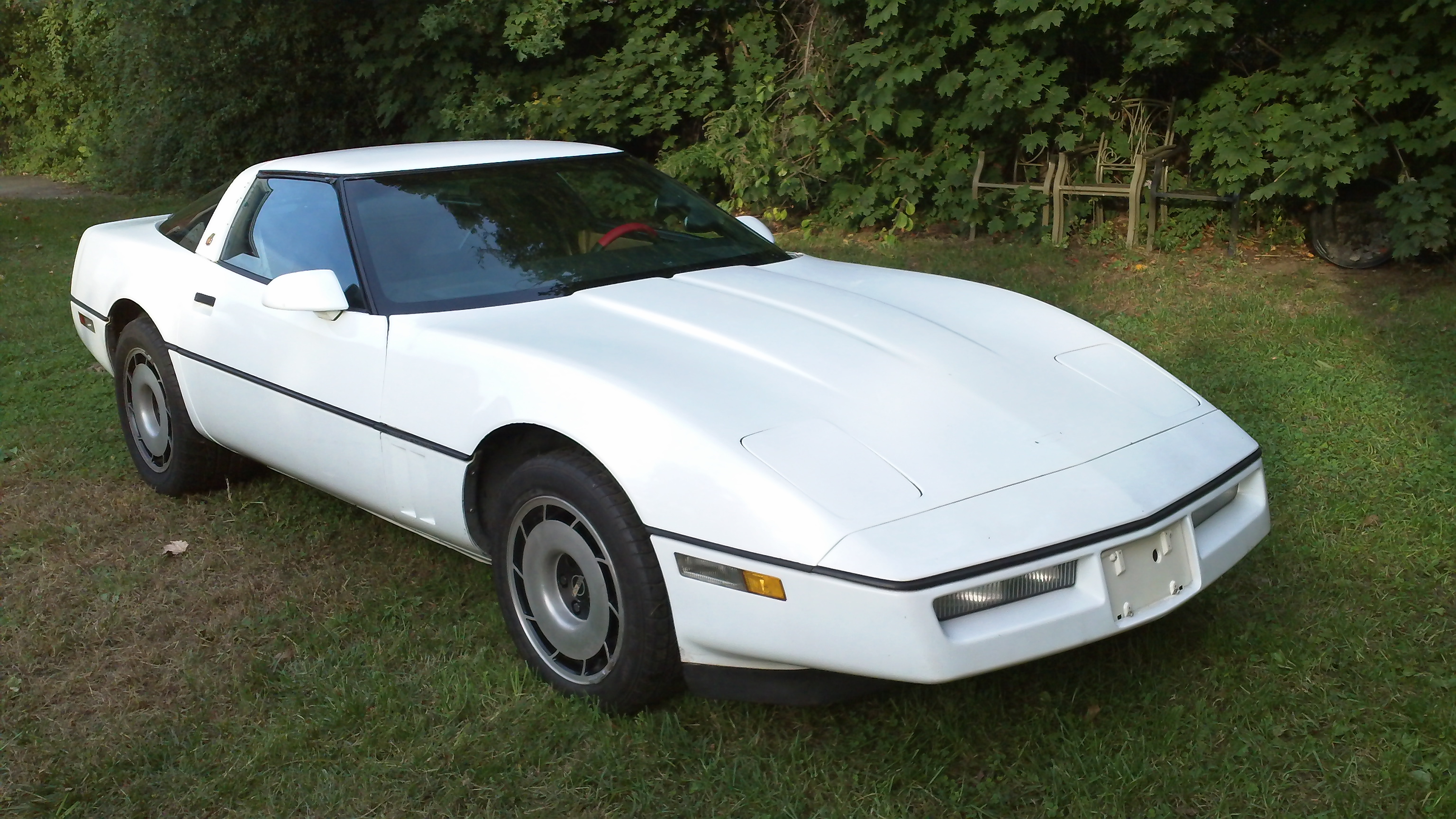 1984 Corvette #1