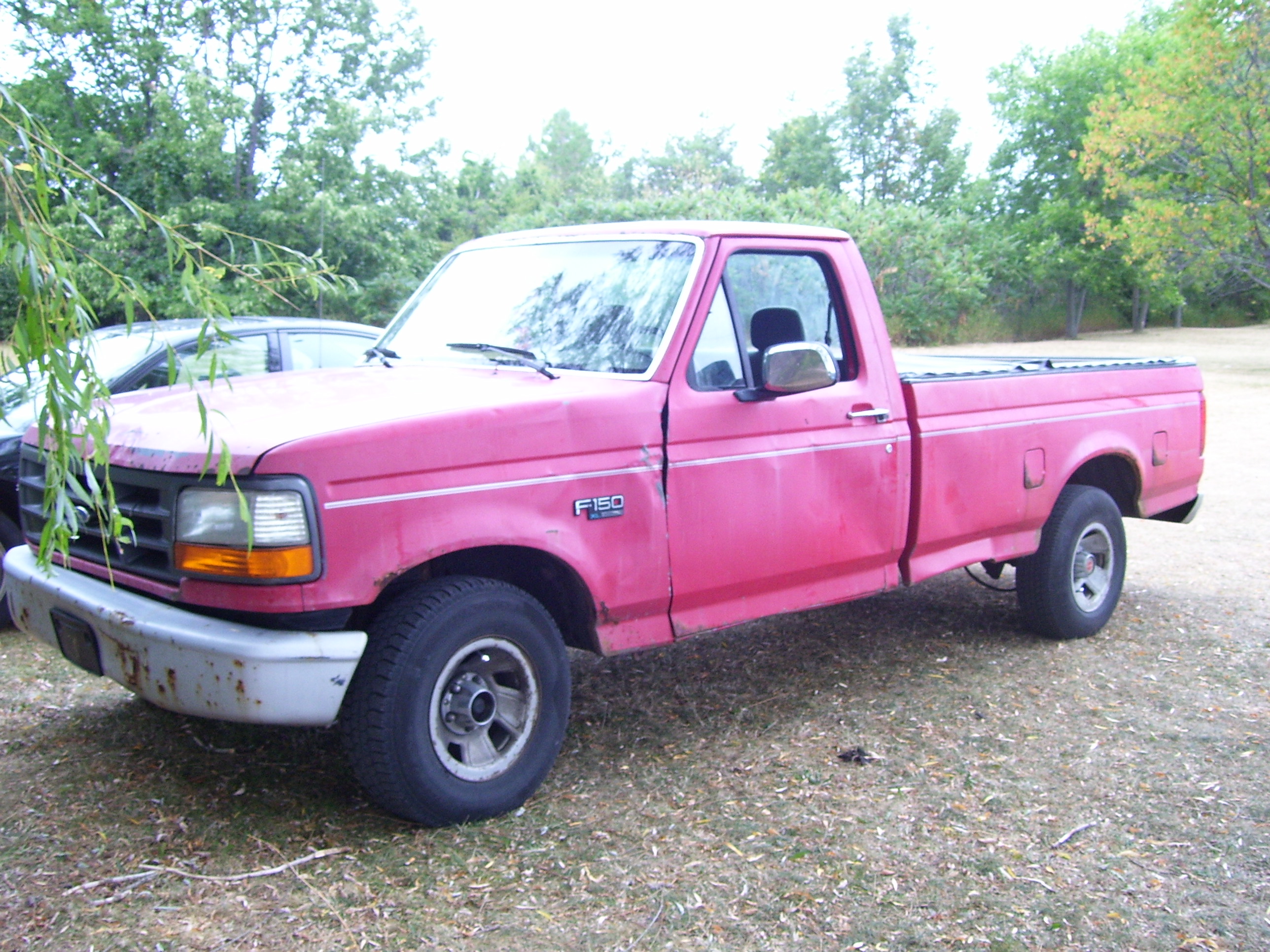 1993 F-150 #1