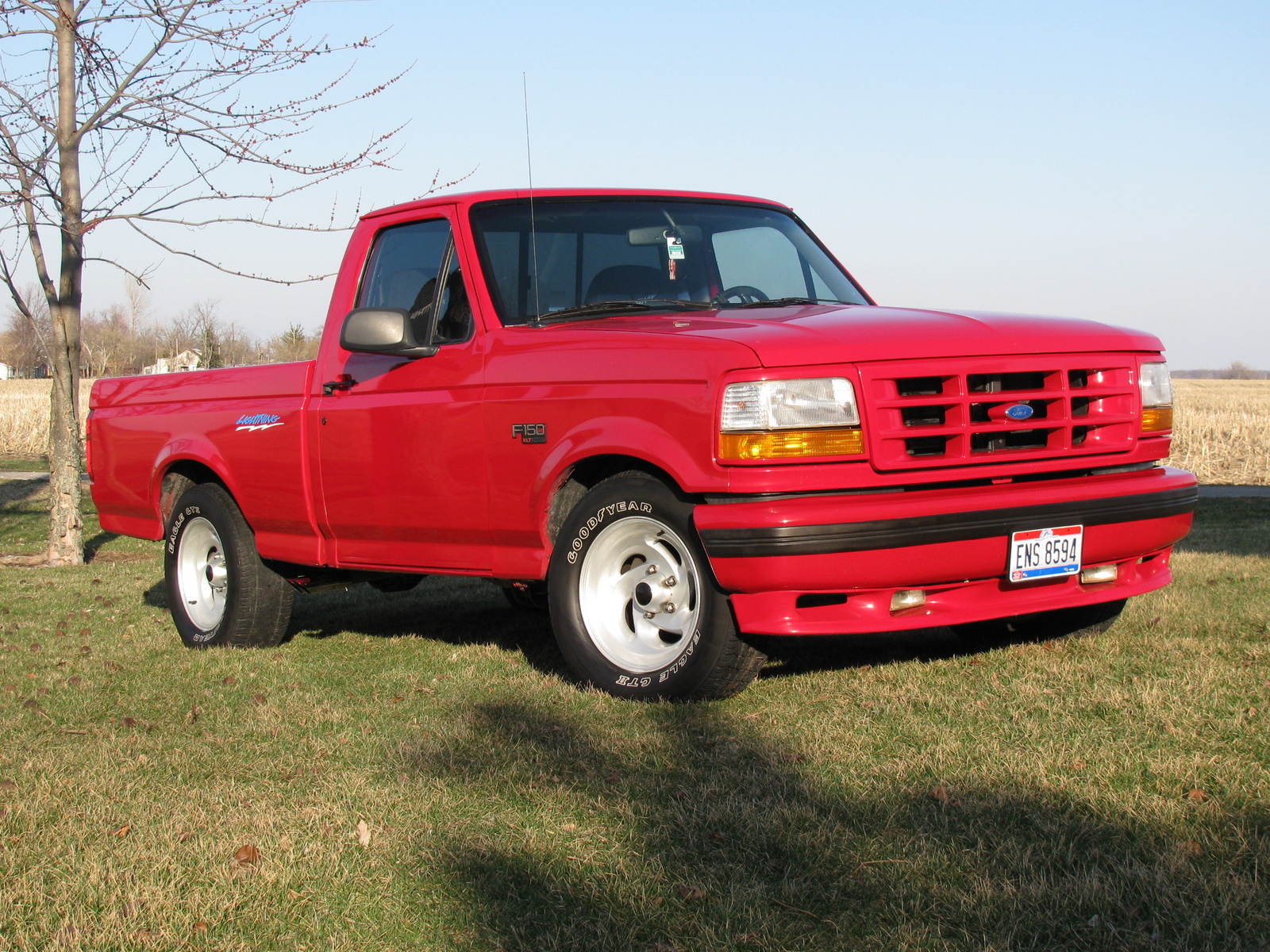 Ford F 150 95