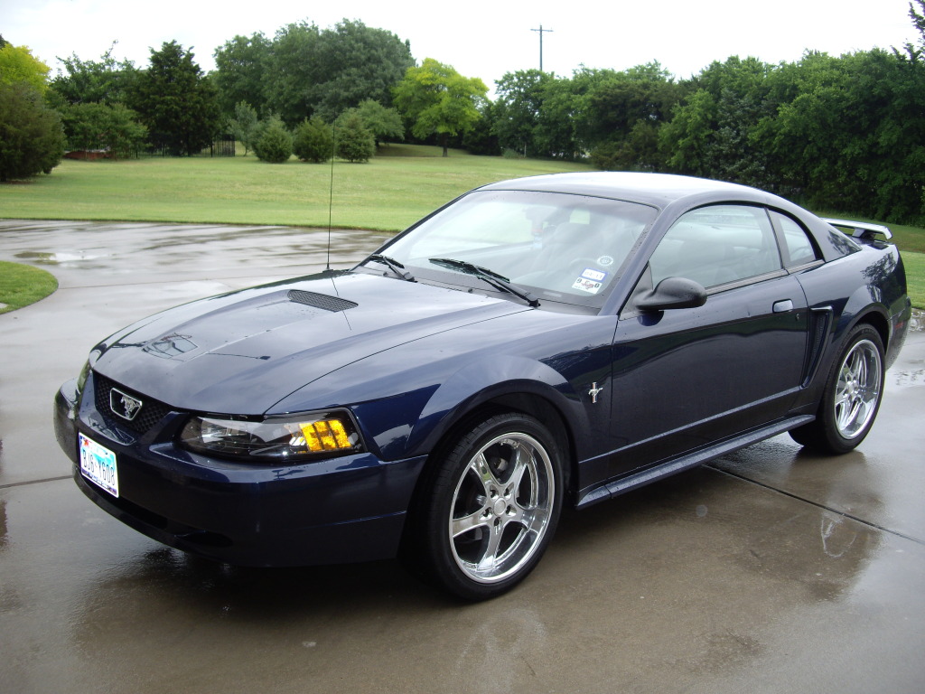 2002 Mustang #13