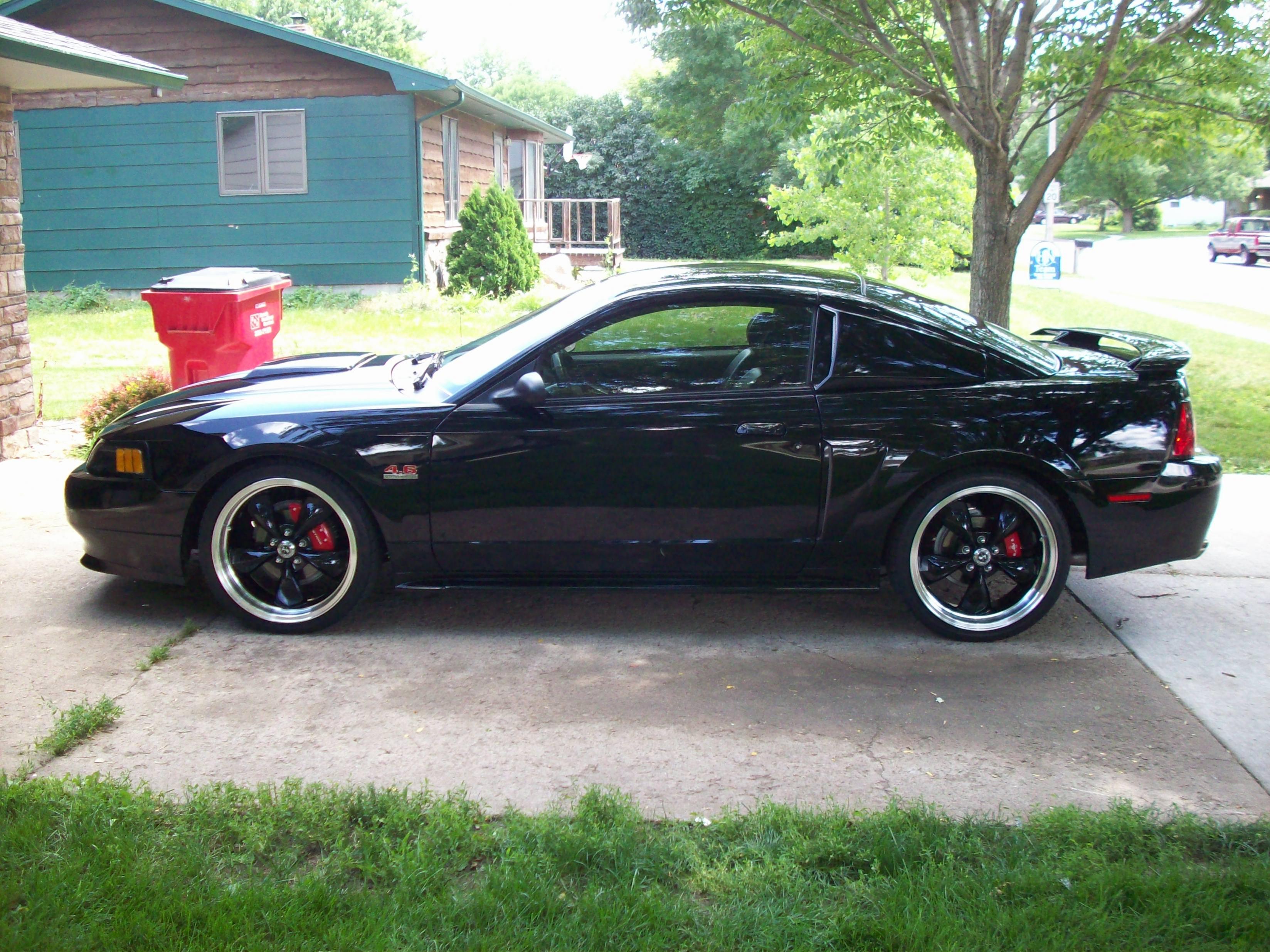 2003 Mustang #1