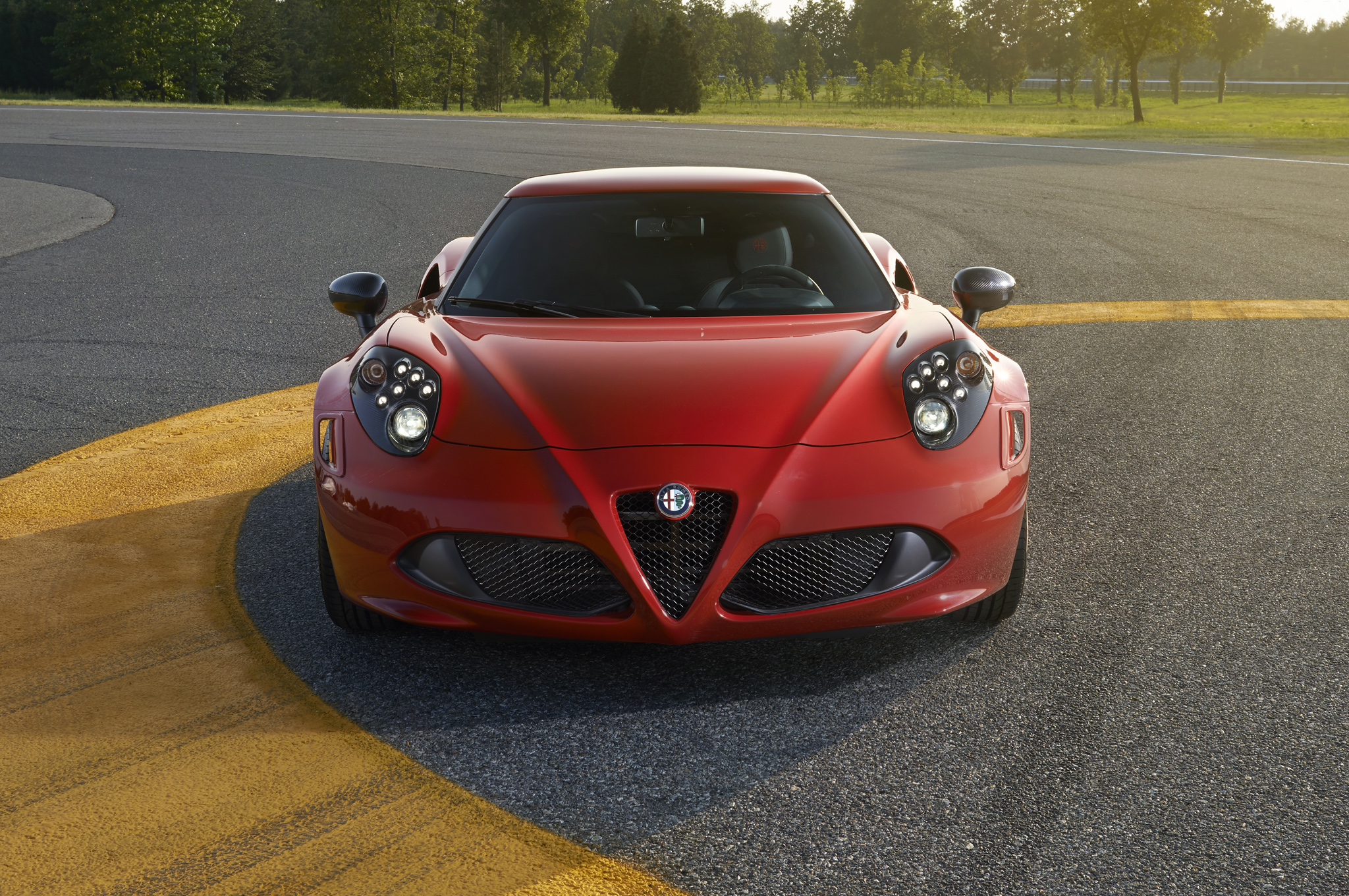 Alfa Romeo 4C 2014 #13
