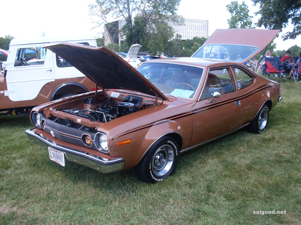 American Motors Hornet 1973 #11