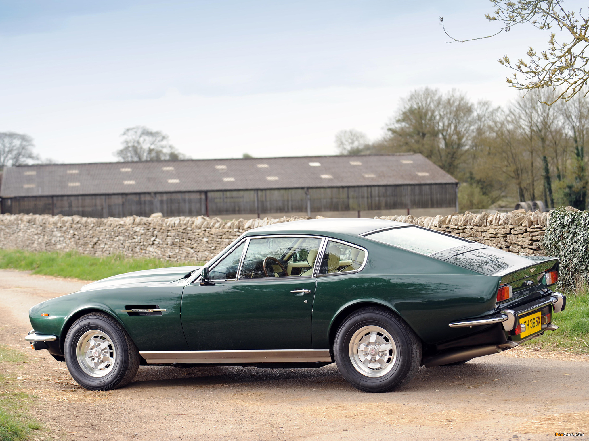 Aston Martin V-8 1972 #8