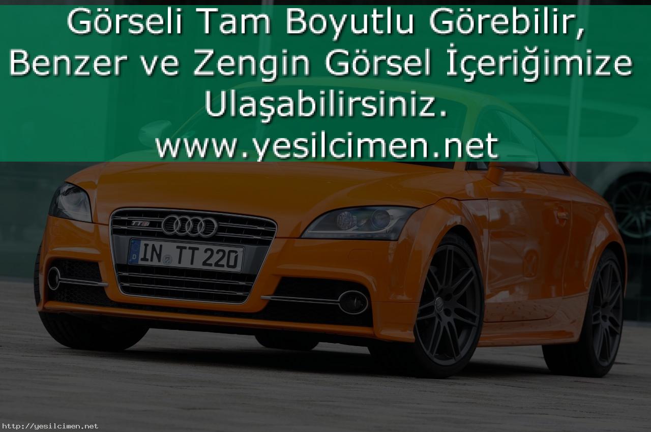 Audi TTS #4
