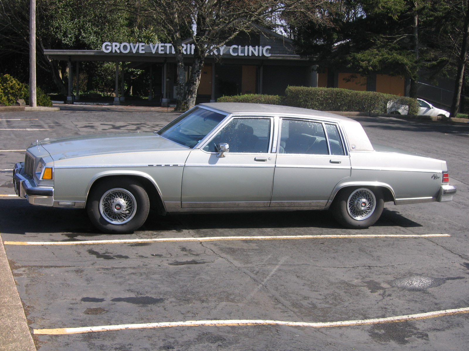 Buick Electra 1981 #10