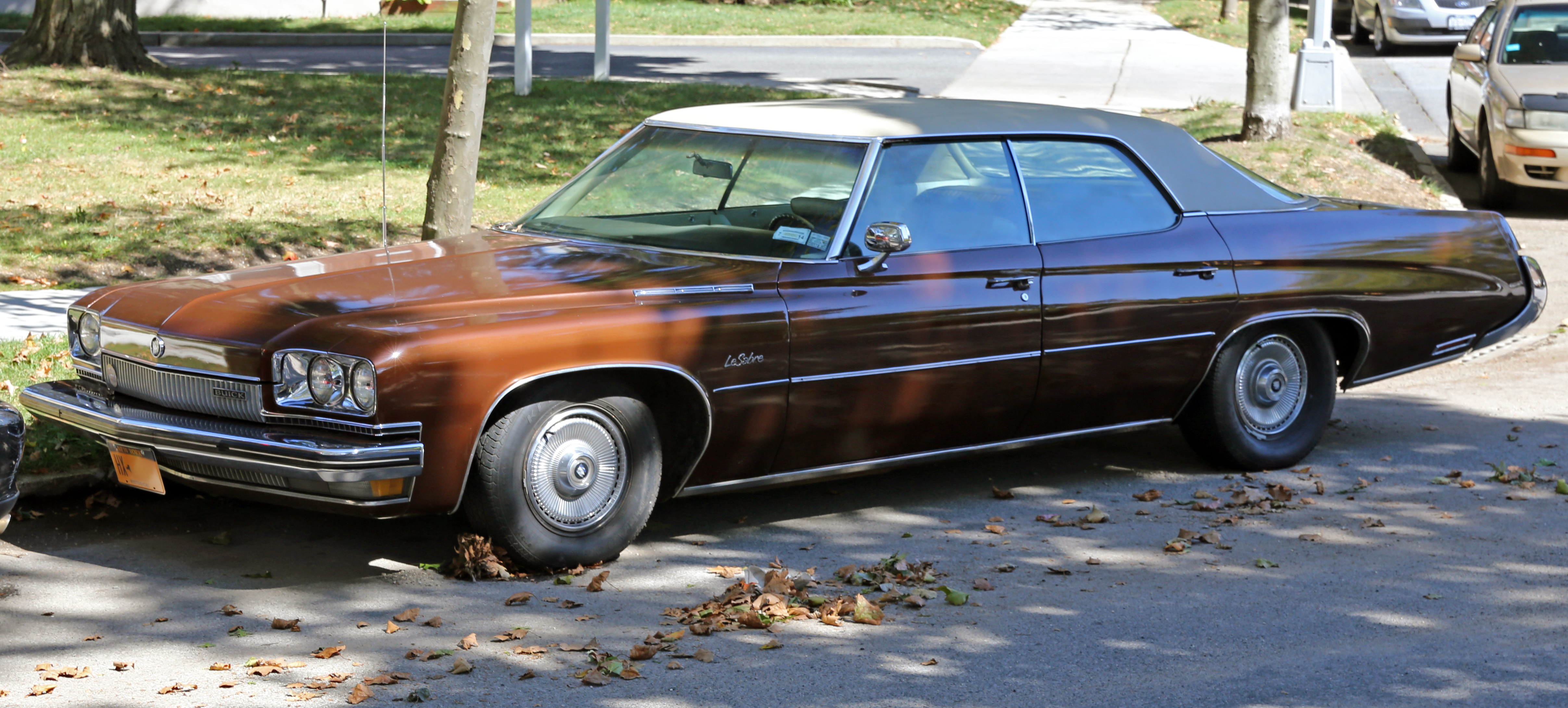 Buick LeSabre 1973 #6