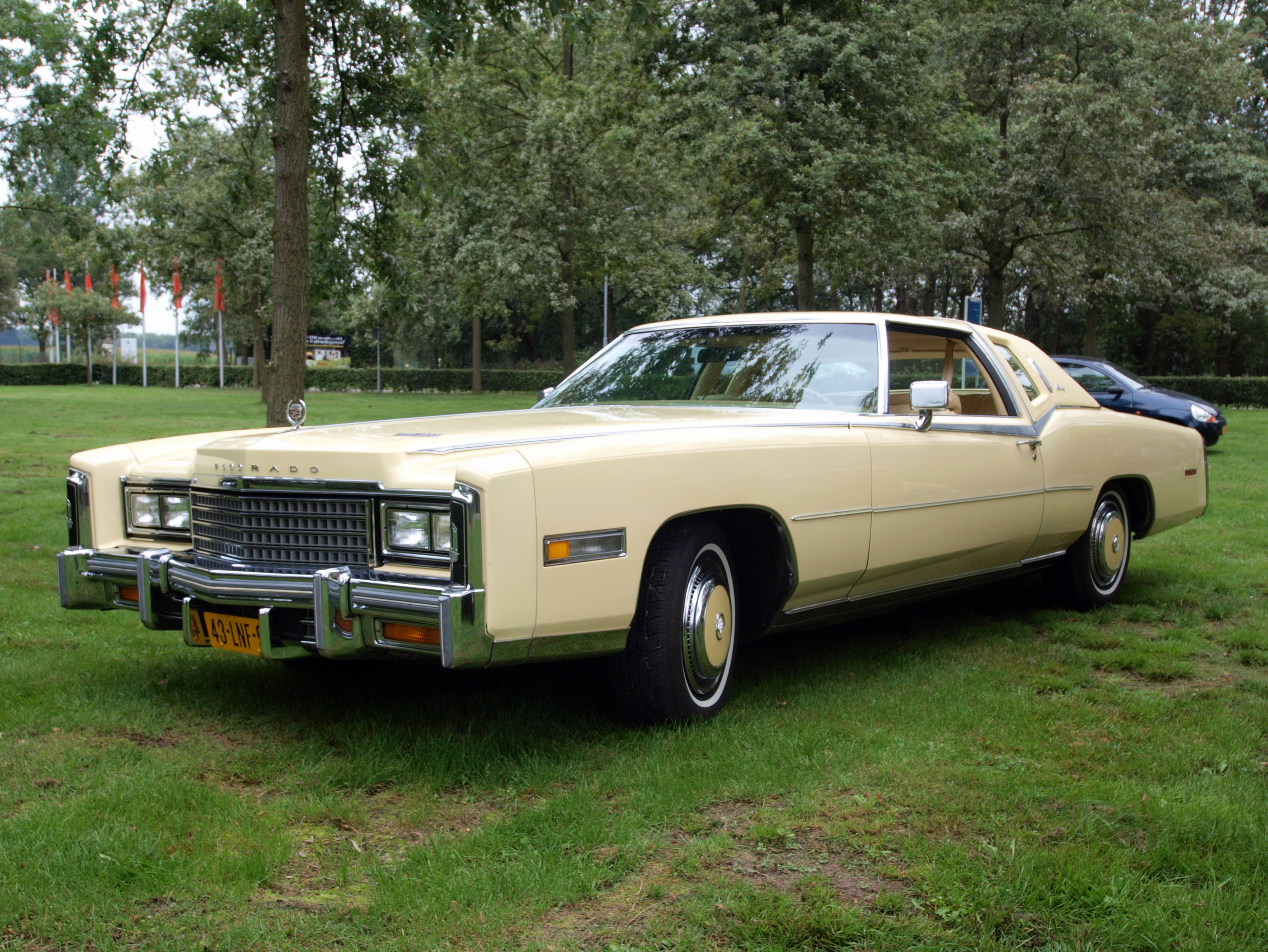 Cadillac Eldorado 1978 #3