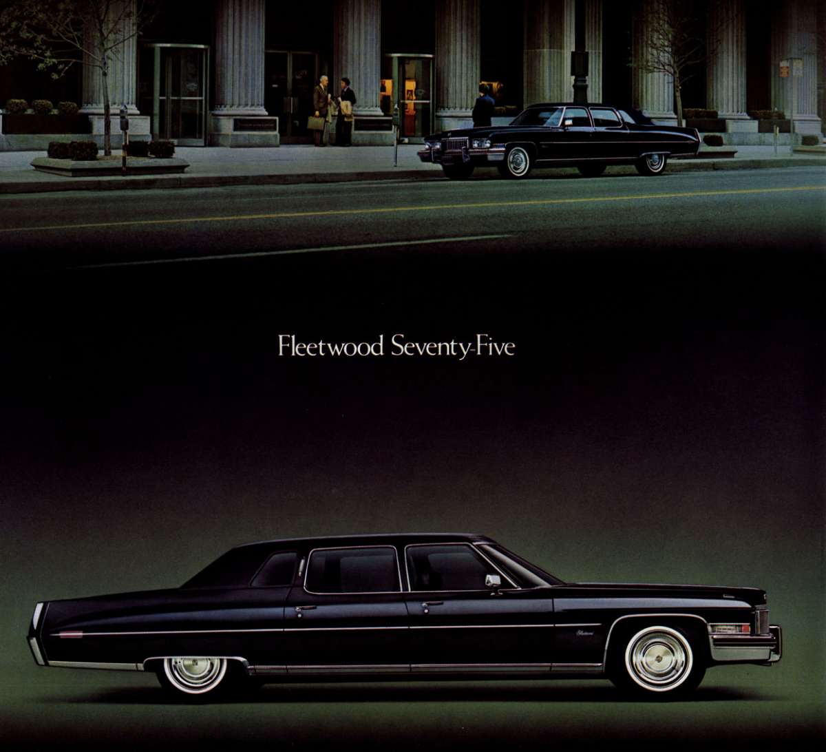Cadillac Fleetwood Limo 1978 #13