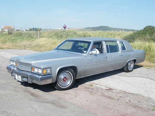 Cadillac Fleetwood Limo 1979 #8