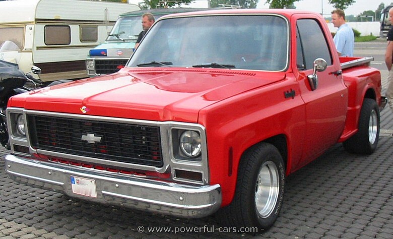 Chevrolet C10/K10 1979 #5