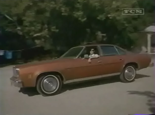 Chevrolet Malibu Classic 1975 #8